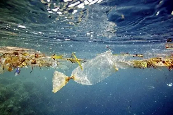 D985D8ADDB8CD8B7D8B2DB8CD8B3D8AAD8AFD8B1DB8CD8A7DB8CDB8C